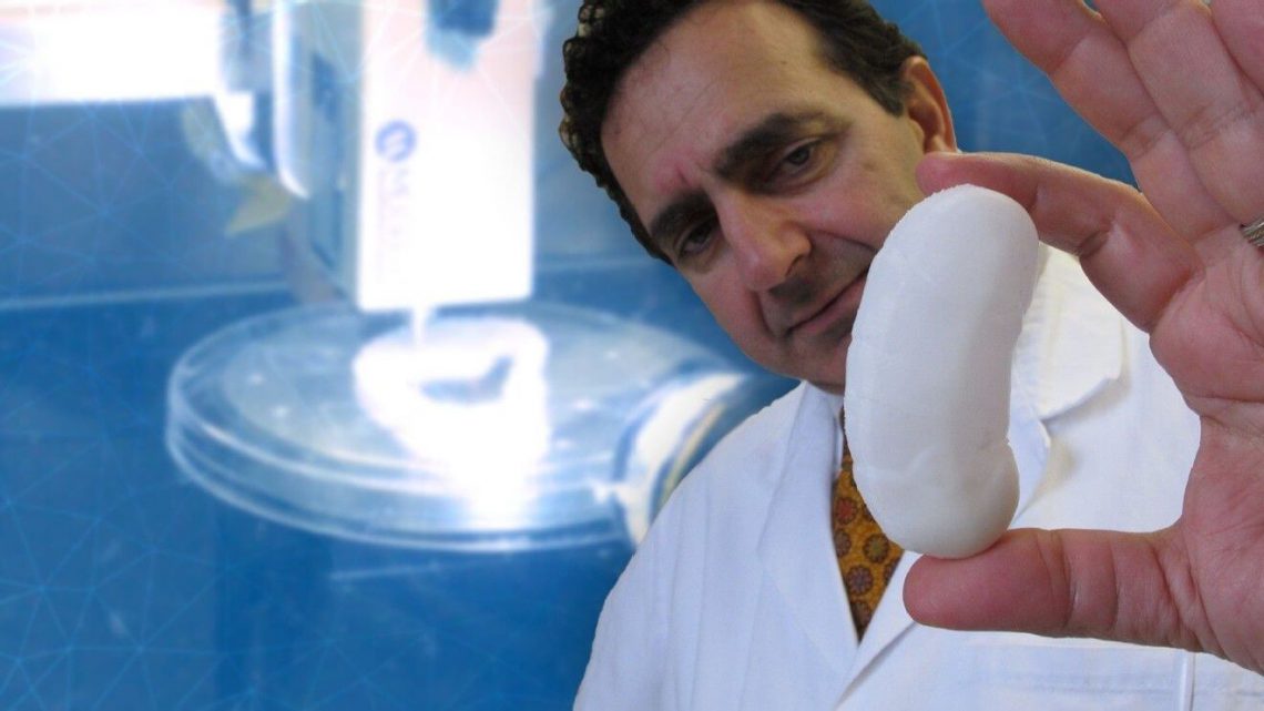 Dr. Anthony Atala holdng a 3D printed kidney