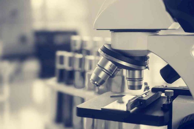 Bioscience Microscope 7 Best microscopes for microbiology – Detailed guide | 3DRIFIC
